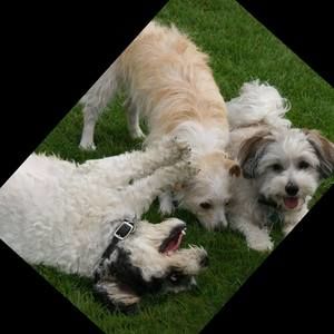 Meet your Posher, Tamera